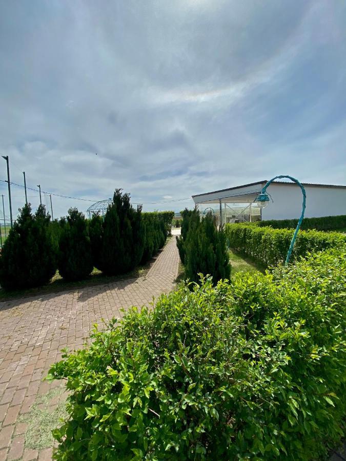 Appartement Green Oasis à Stolniceni-Prajescu Extérieur photo
